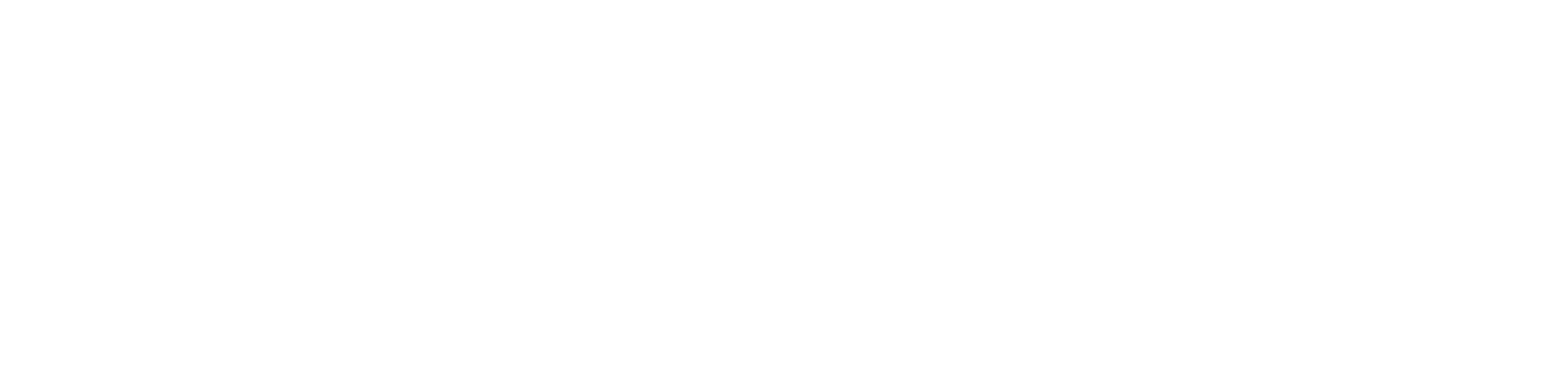 Swastik Financial Advisory