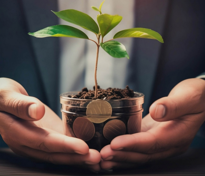 Wealth Management